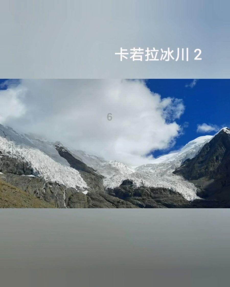 探索有哪些食物可以改善过敏体质?,定制专属知识世界!